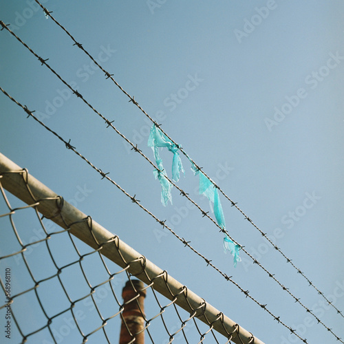 Plastic stuck in barbed wire photo
