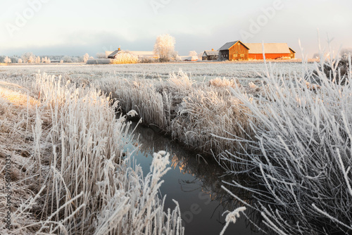 Stream in frosty morning in the countryside photo