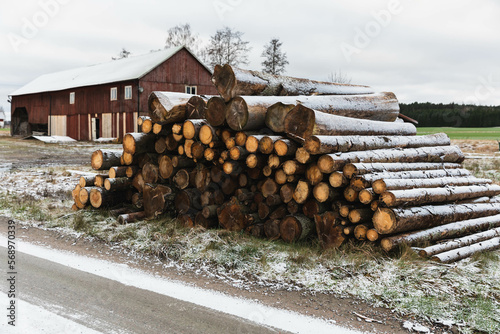 Wood pile in frosty land photo