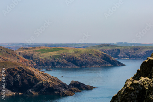 A View from Skomer Island on a Summer's Day