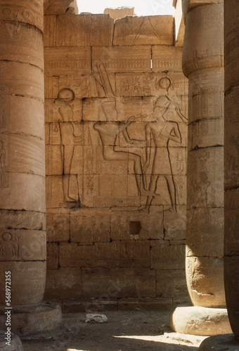 Egyptian Hieroglyphics 