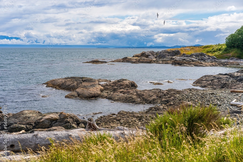 View of beach and rocks from Dallas Road, Victoria, British Columbia, Canada 