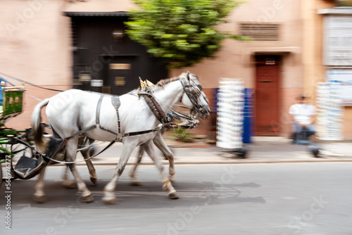 Horses running while pulling a carriage photo