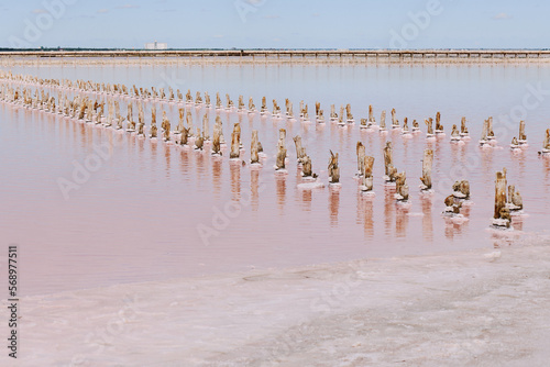 Wood poles weathered stick out of the water. photo