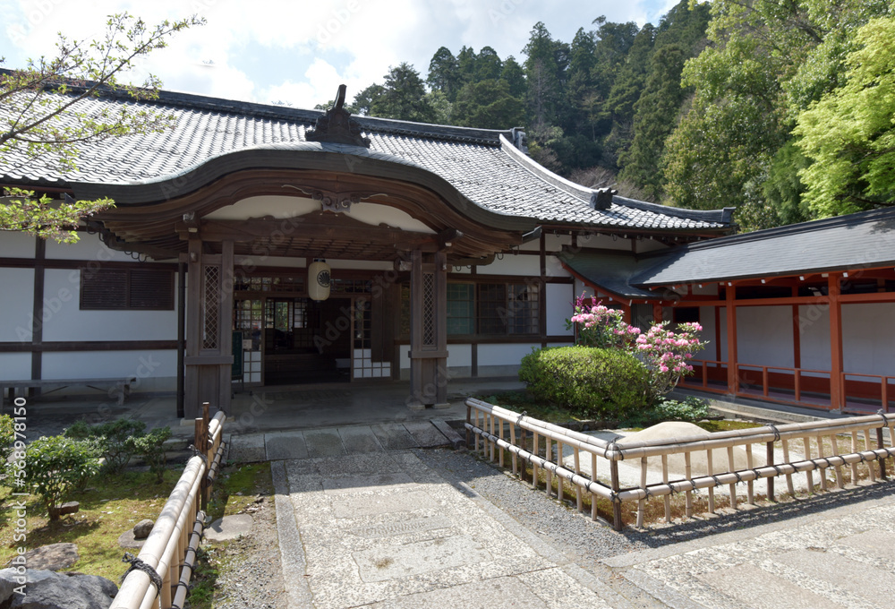 春の鞍馬寺　本坊　京都市左京区