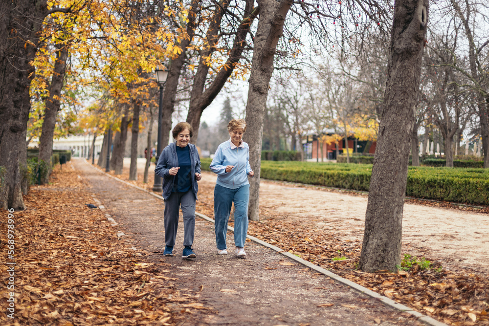 Senior women jogging in the park in the morning Senior women jogging in the park in the morning