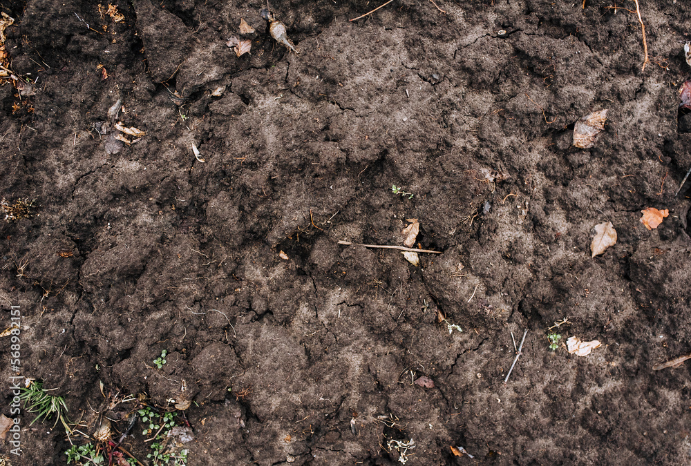 Soil, soil, earth, black soil close-up after digging. Close-up photography, nature, background, texture.