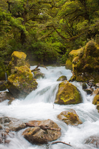 New Zealand Stream