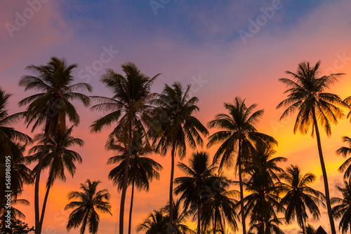 Fototapeta Naklejka Na Ścianę i Meble -  Silhouette palm at sunset