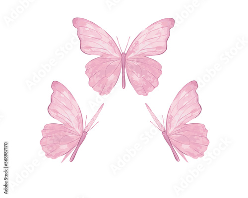 pink watercolor butterfly vector art design hand drawn Color monarch butterflies, isolated on the white background