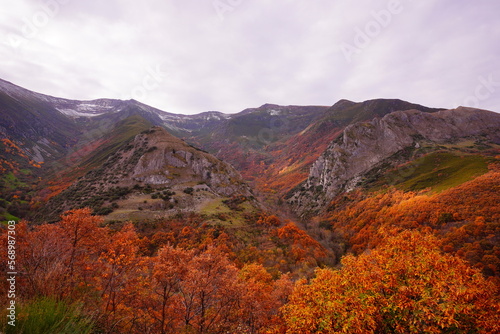Here it is how autumn looks like in a valley
