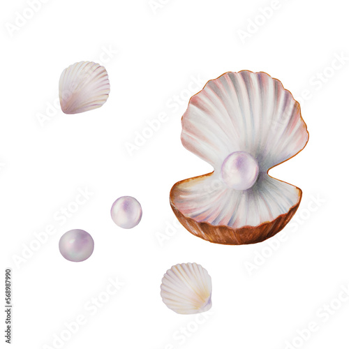 Watercolor shell with pearl. Hand painting clipart underwater life objects on a white isolated background. For designers, decoration, postcards, wrapping paper, scrapbooking, covers, invitations