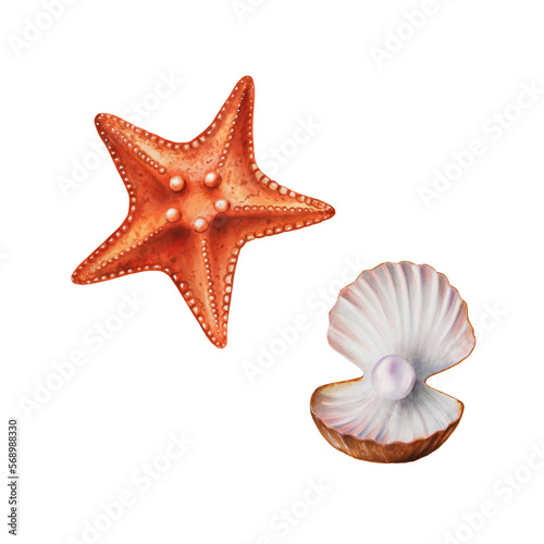 Watercolor starfish and shell with pearl. Hand painting clipart underwater life objects on a white isolated background. For designers, decoration, postcards, wrapping paper, scrapbooking, covers
