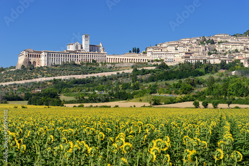 Assisi photo