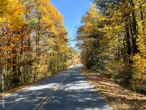 The view of the changing leaves from a vehicle on the Blue Ridge Parkway.