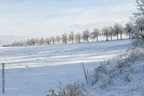 Landstraße mit schneebedeckten Bäumen photo