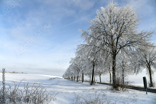 Landstraße mit schneebedeckten Bäumen photo