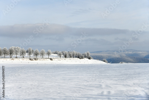 Landstraße mit schneebedeckten Bäumen photo