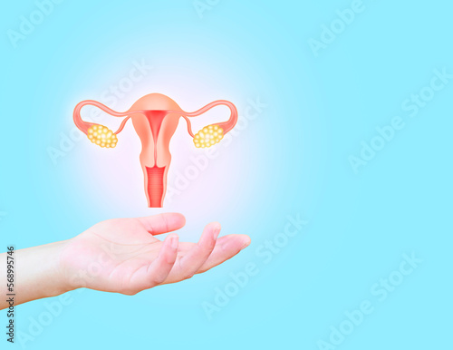 Female reproductive health concept. endometriosis, PCOS, gynecological cancer, cervical cancer, uterine fibroids, hysterectomy, monitoring and care. Uterus isolated with sky background. photo