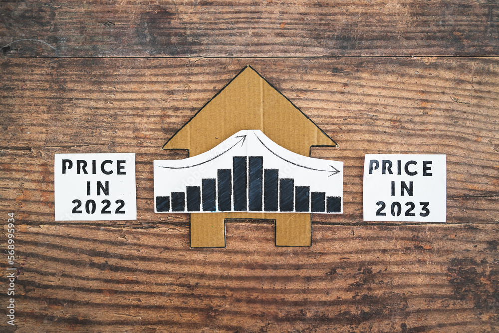 property prices and real estate affordability concept, cardboard house