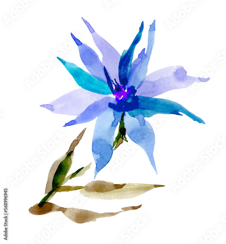 Summer botanical illustration. Blue Lily flower for design, invitations, postcards. Watercolor abstract blue bud. Blue flower on a white background. © Andrei
