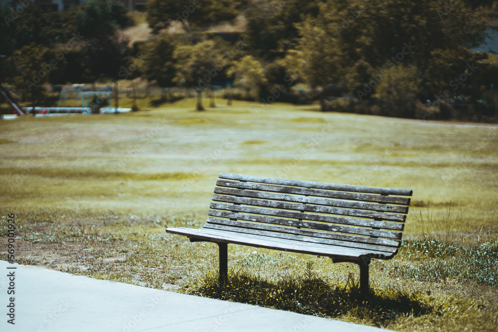 A shallow depth of field and selective focus on a wooden bench with rough and weathered texture, in a dried-out grass area, with tall trees in the background, adding depth and dimension to the scene A shallow depth of field and selective focus on a wooden bench with rough and weathered texture, in a dried-out grass area, with tall trees in the background, adding depth and dimension to the scene