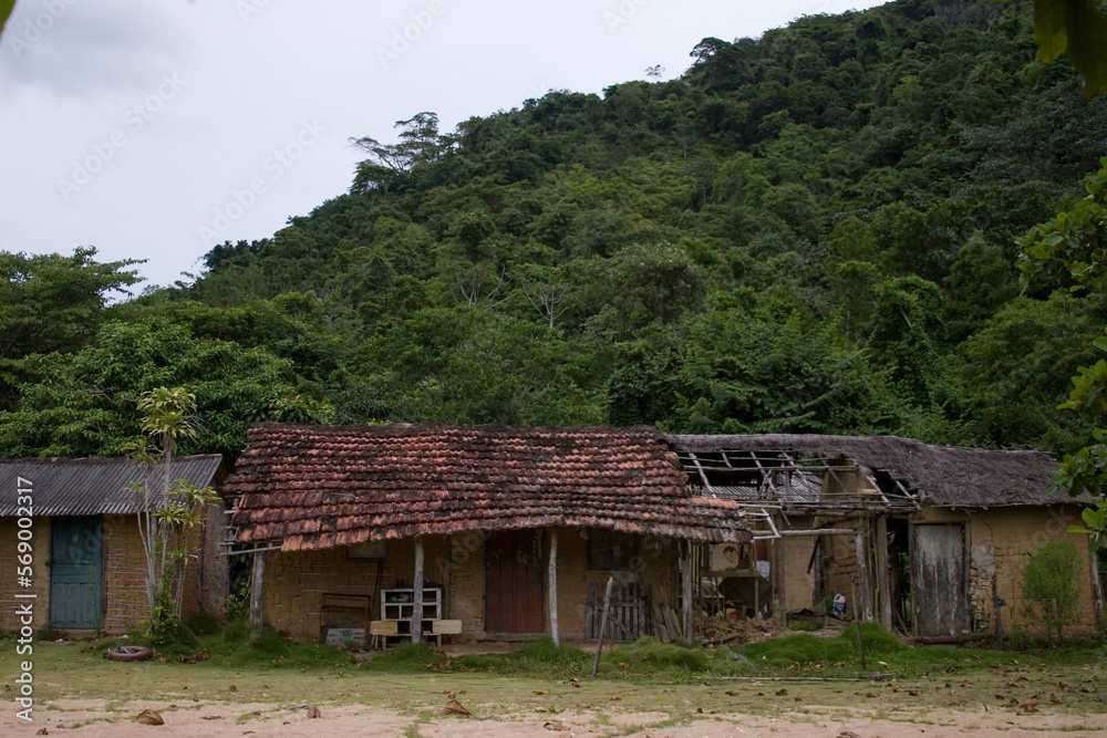 traditional thai house