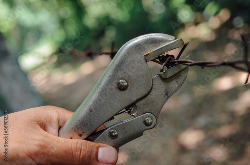 Murais de parede holding locking plier