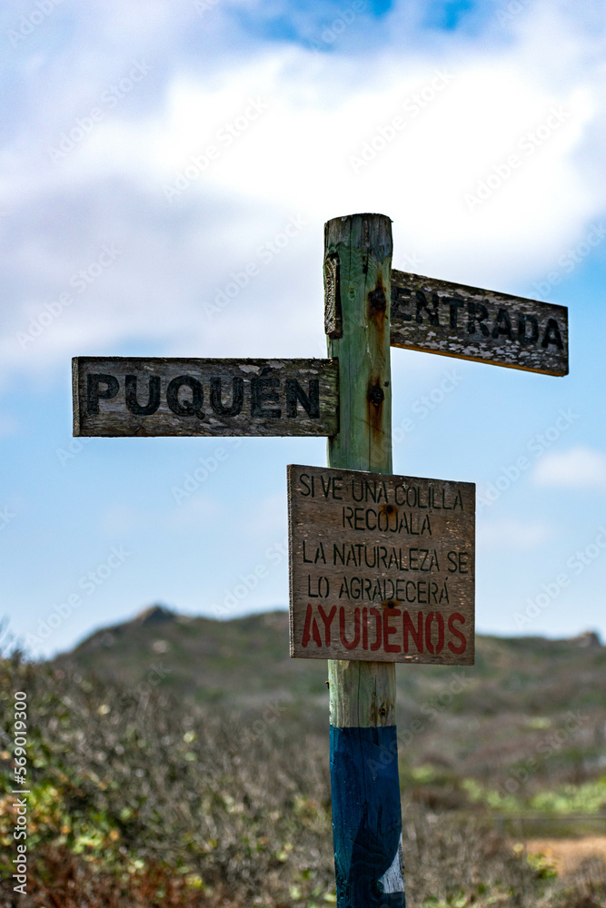 Directions wooden sign in Puquen National Park near valparaiso in Chile., Latinoamerica, Southamerica. Its a long treeking where you can find a cold geyser made from a natural formation in the sea.