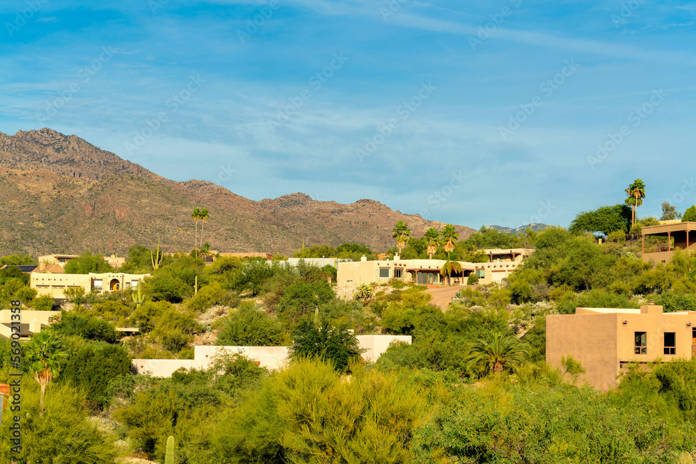 Modern mansions on a hilltop neighborhood in arizona with native trees cactuses and grasses in rural community