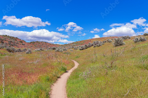 Boise Foothills in the Summer