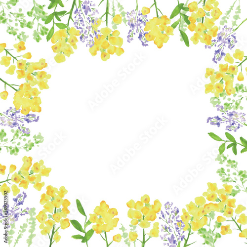 水彩画。菜の花の装飾ベクターイラストフレーム。水彩タッチの菜の花背景。Watercolor painting. Rape blossoms decoration vector illustration frame. Rape blossoms background with watercolor touch.