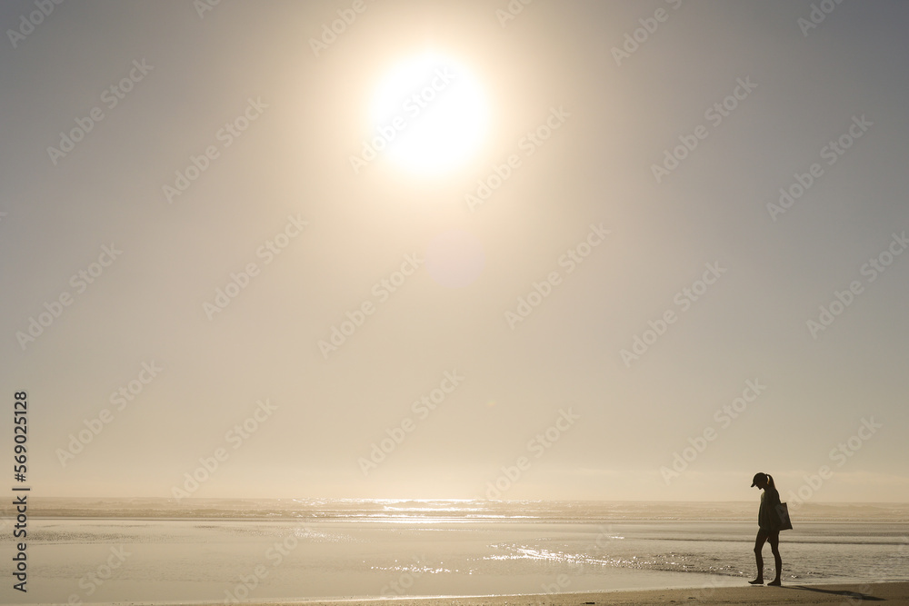 Fototapeta premium Oregon Coast Sunset