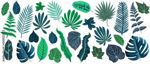 vector drawing green and blue tropical leaves isolated at white background   hand drawn illustration