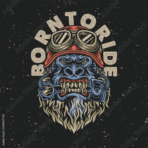 vector illustration born to ride with gorilla for t shirt design