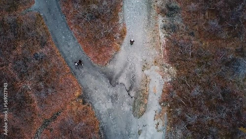 Aerial top down following shot of a couple and friend that diverge on two paths separated by dead shrubbery.