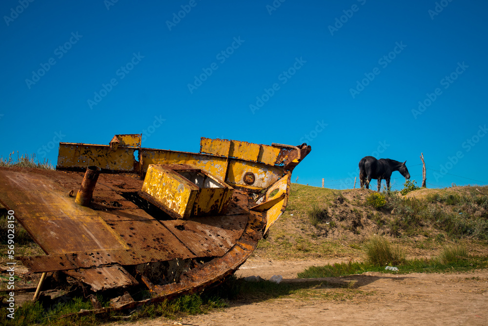 Abandoned fishing boat and a black horse in the coast in a cloudy day