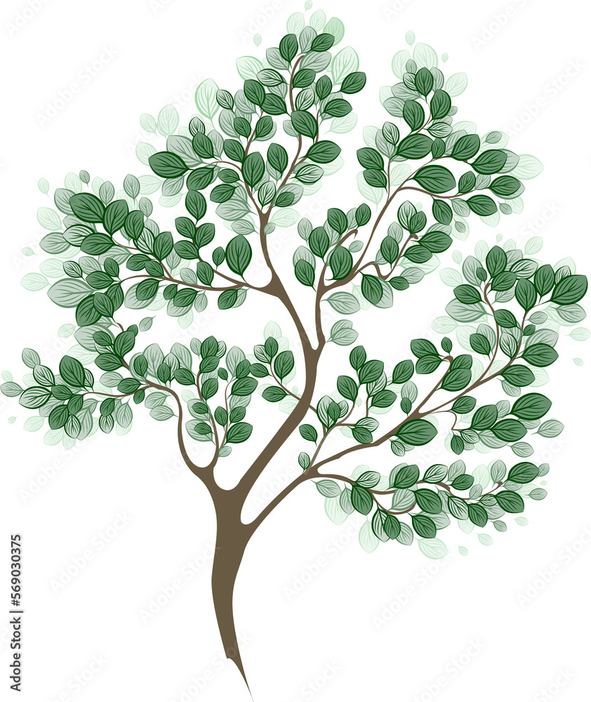 Fototapeta premium First Green Branch