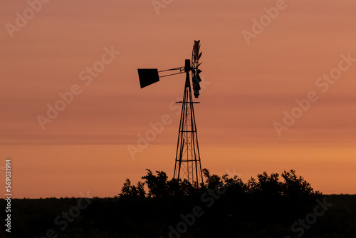 Windmill in African Plains