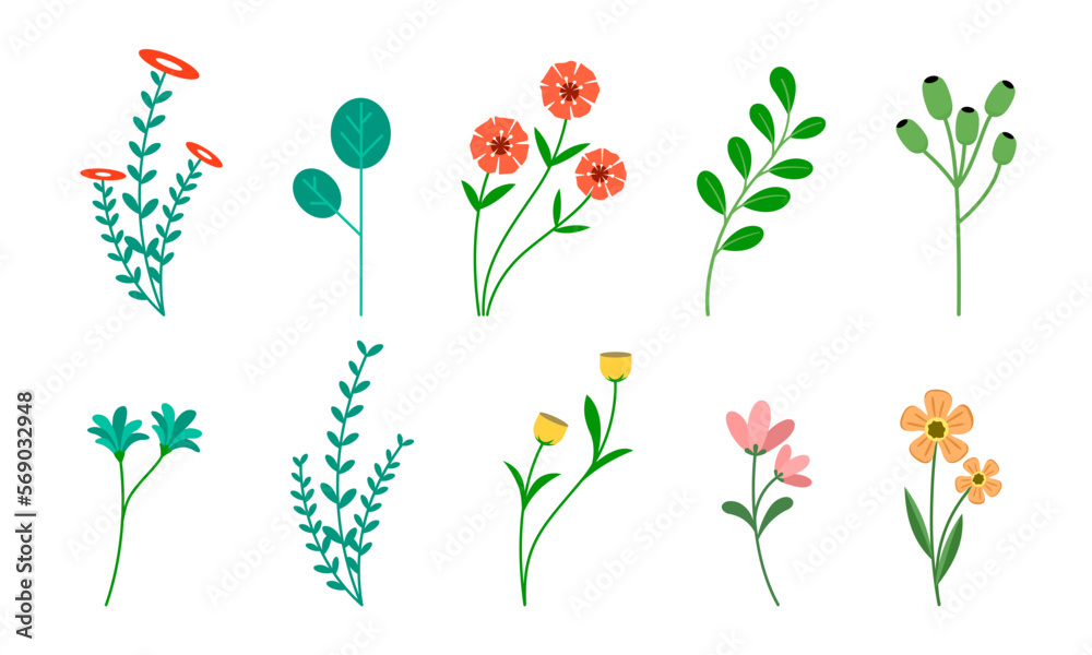 Set of wildflowers. Collection of flower gardens. Medicinal plants with colorful flowers. Flowers are isolated on a white background. Vector illustration