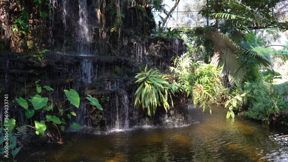 A small indoor manmade waterfalls with the water falling over the rocks and through the many tropical plants. A small indoor manmade waterfalls with the water falling over the rocks and through the many tropical plants.