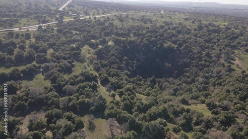 Aerial view drone pulling away from volcano crater with trees, Big Jupta, Israel photo