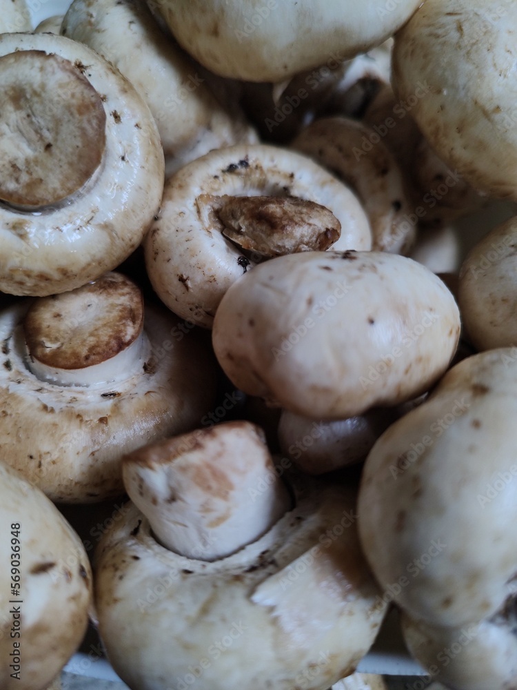 Close up of raw mushrooms, to prepare
