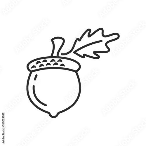 oak acorn nut line icon vector concept design element template