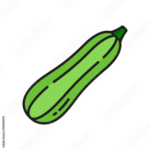 Green zucchini courgette raw veggie line icon