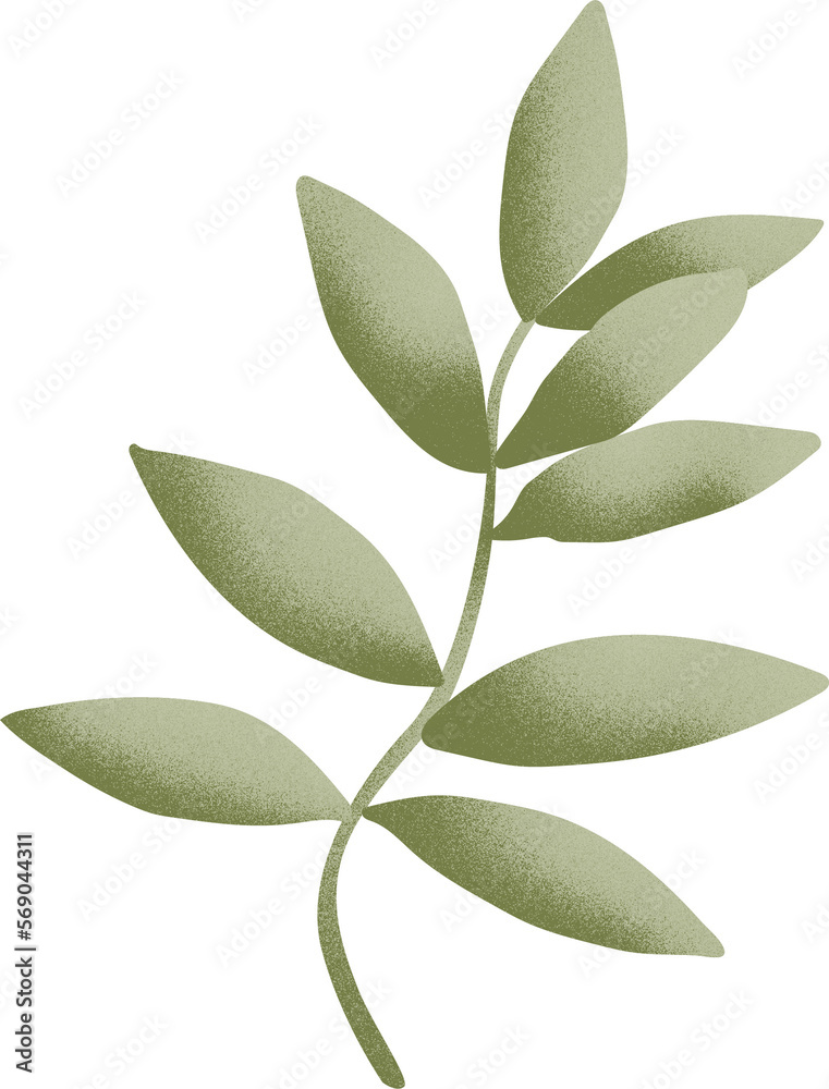 Leaf graphic design, transparent Leaf graphic design, transparent