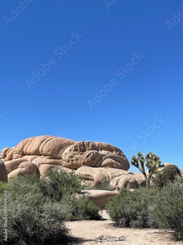 rocks in the desert © Gabrielle