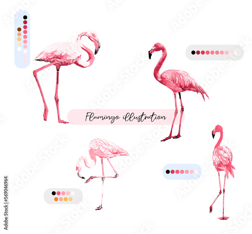 Sweet Flamingo illustration Vector Seamless Pattern  Animal Flamingo Pastel Color 