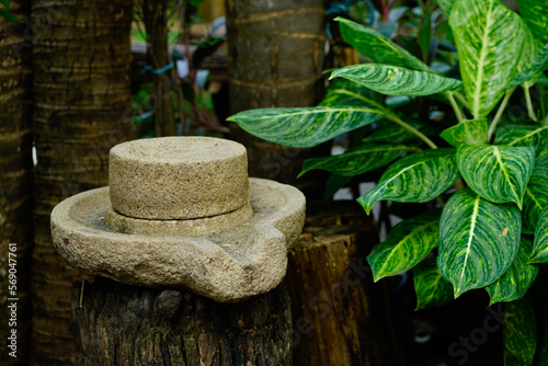 Flour mill stone, beautiful decorative garden stone  resting on a stump  On the sides are large green leaves.  beautiful garden with decorative stones