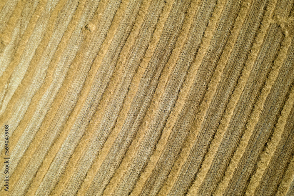 Aerial shot of a straw field left to dry Aerial shot of a straw field left to dry